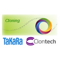 До 31 января скидка 15% на все заказы продуктов Clontech-Takara